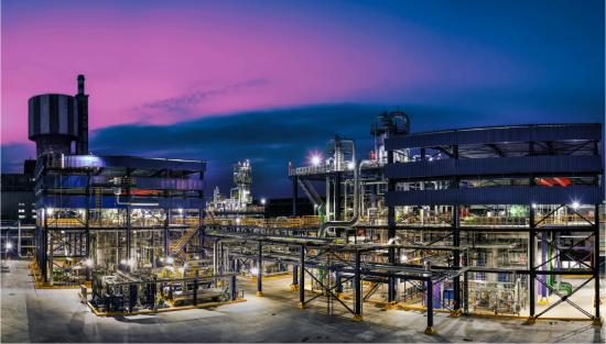What Fraction Of Energy A Plant Absorbs Becomes Oil 