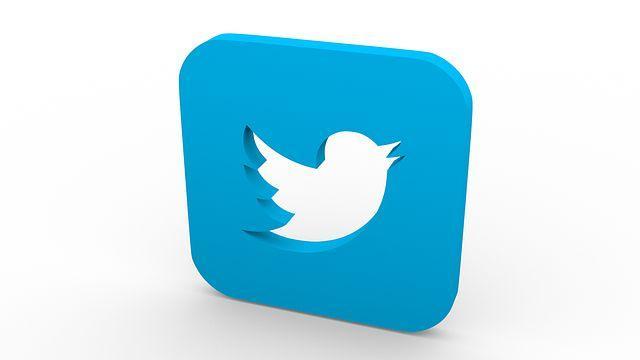 URL Hunt: Finding and Using Your Unique Twitter URL for Maximum Exposure 